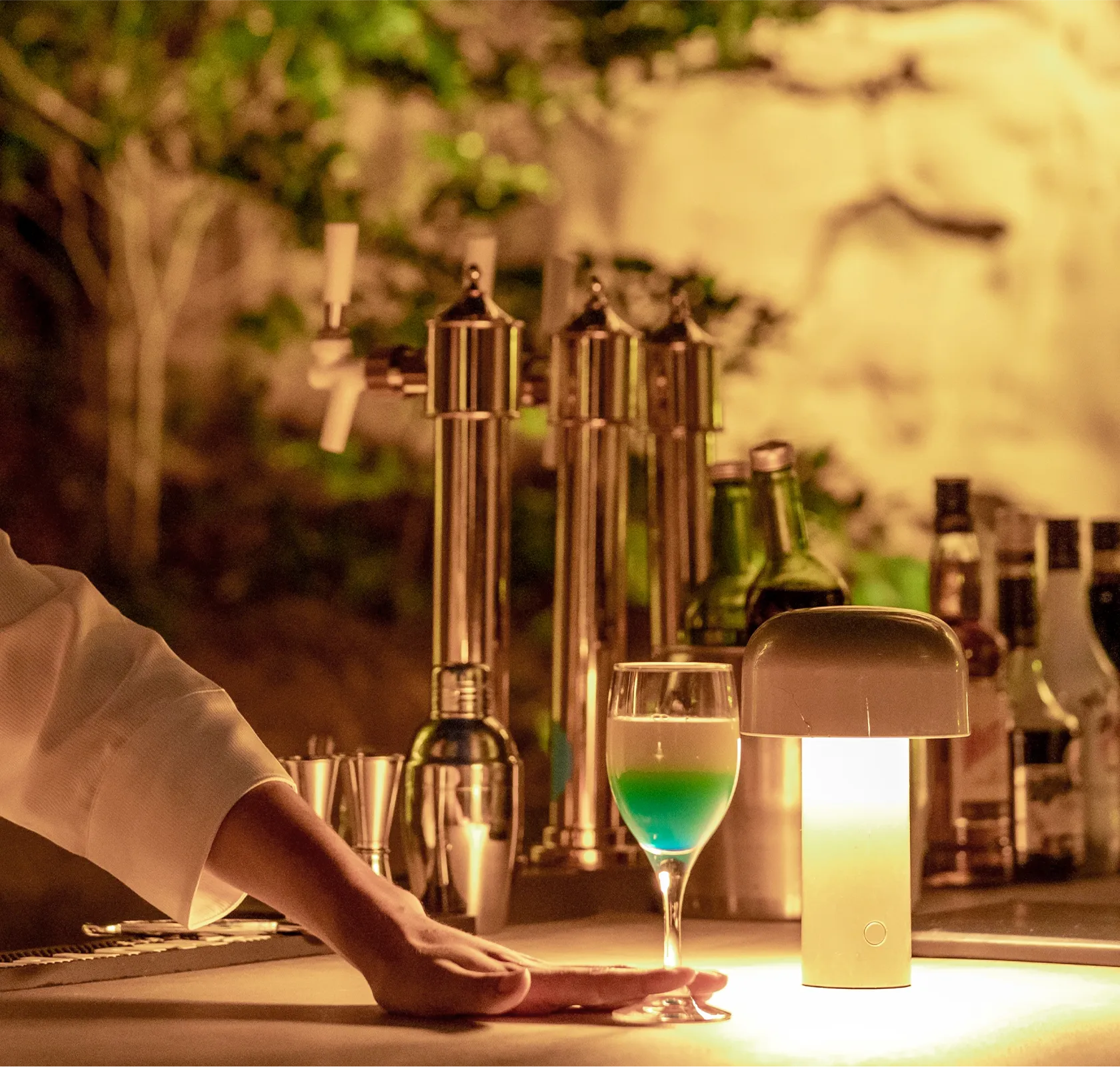 Lose yourself in the extraordinary
Blissful evening at drink Bar