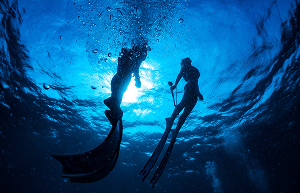 Diving & Snorkeling